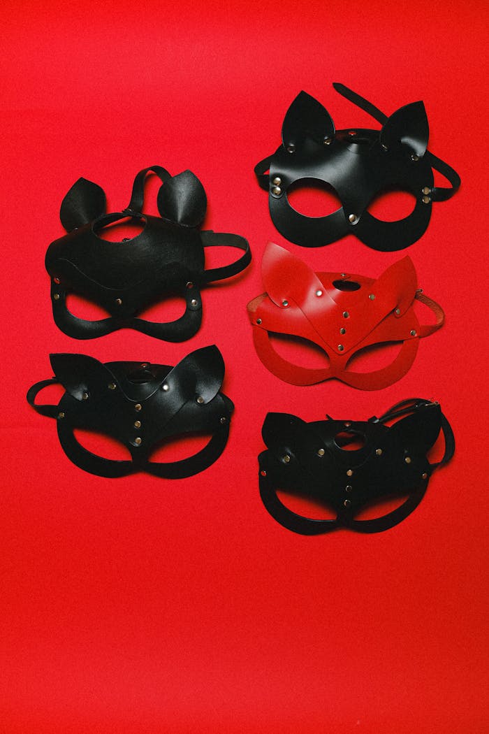 Leather Cat Masks